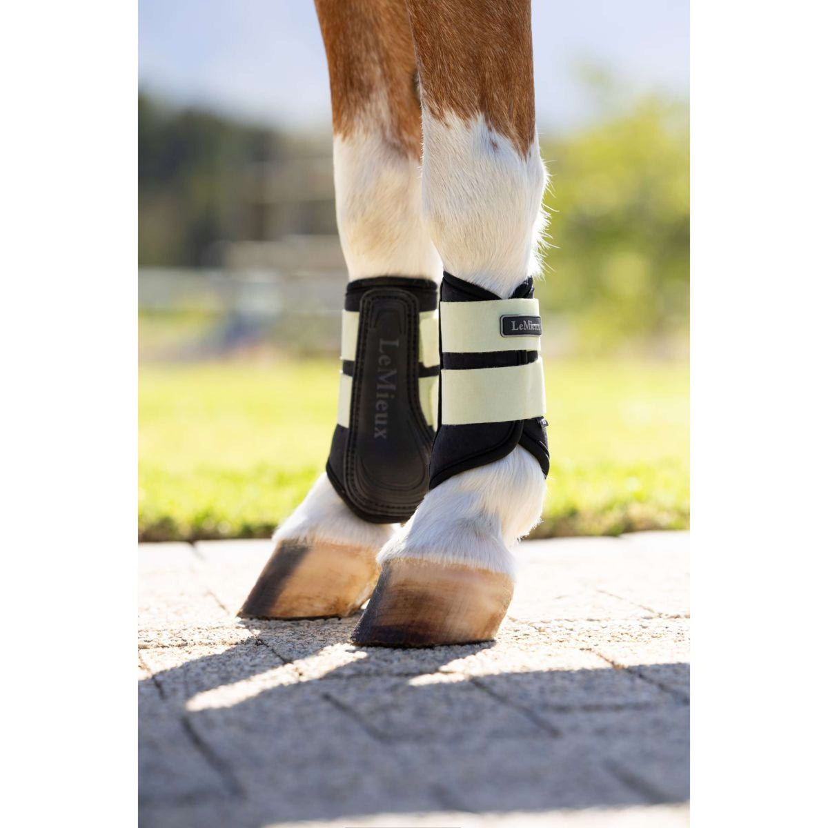 LeMieux Parastinchi Mini Air-Tek Macaron