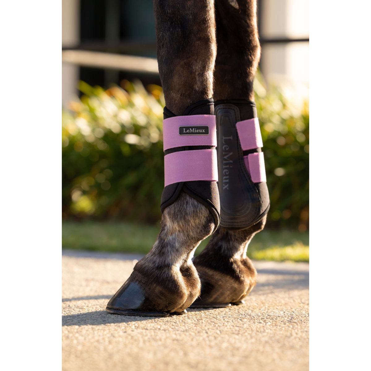 LeMieux Parastinchi Air-Tek Grafter Mallow