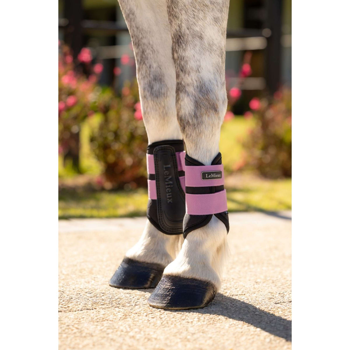 LeMieux Parastinchi Mini Air-Tek Mallow