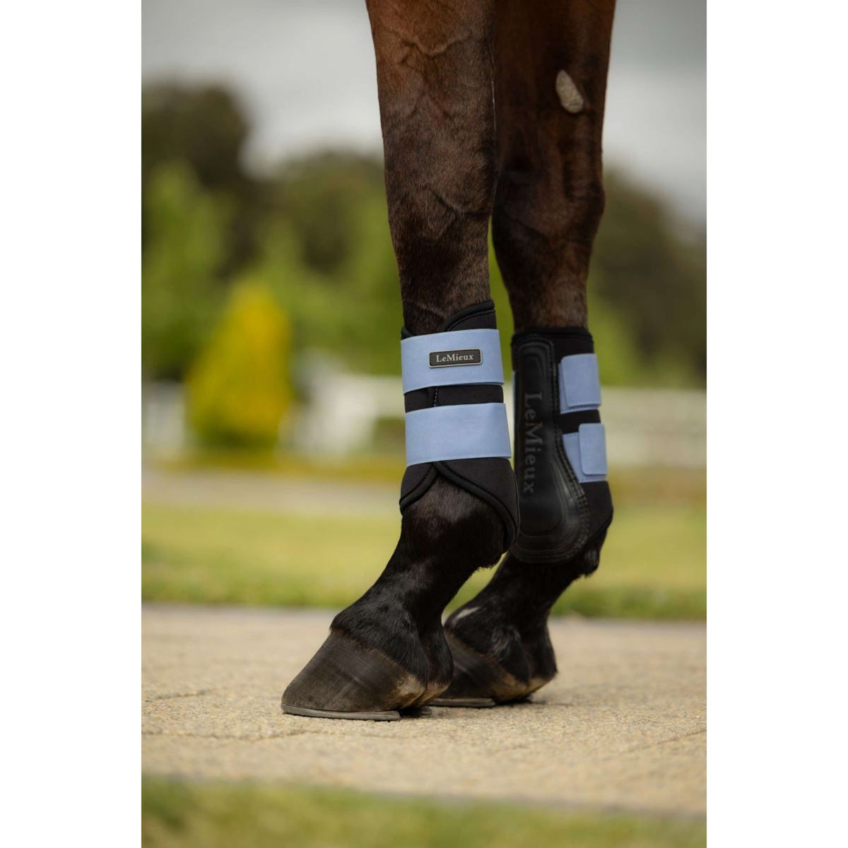 LeMieux Parastinchi Air-Tek Grafter Powder Blue