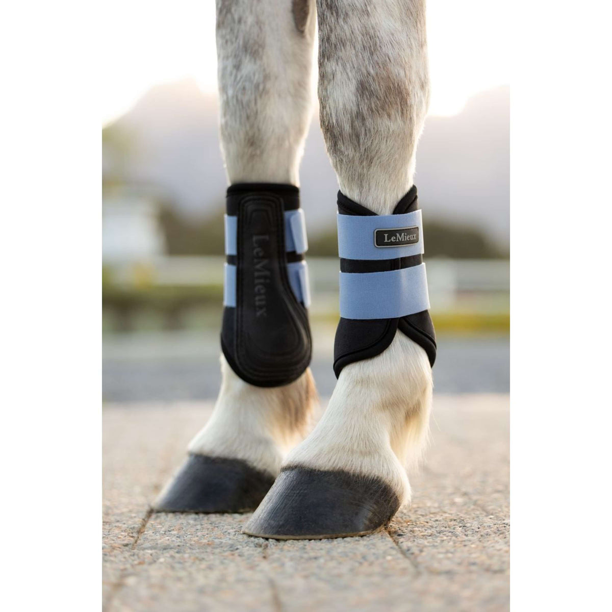 LeMieux Parastinchi Mini Air-Tek Powder Blue