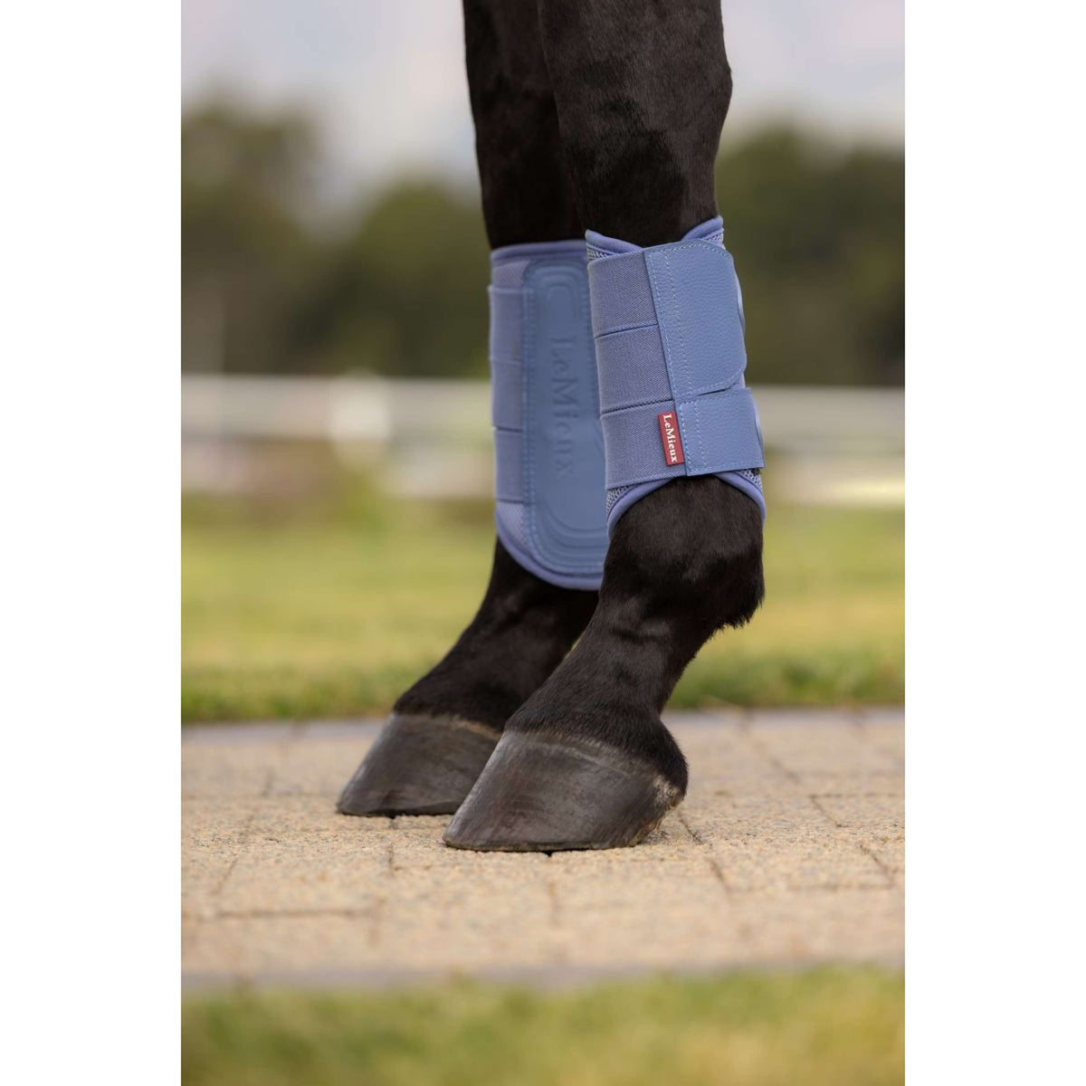 LeMieux Parastinchi Arika Mesh Powder Blue