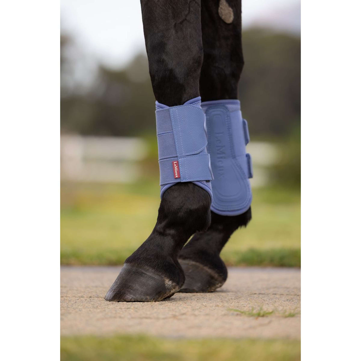 LeMieux Parastinchi Arika Mesh Powder Blue