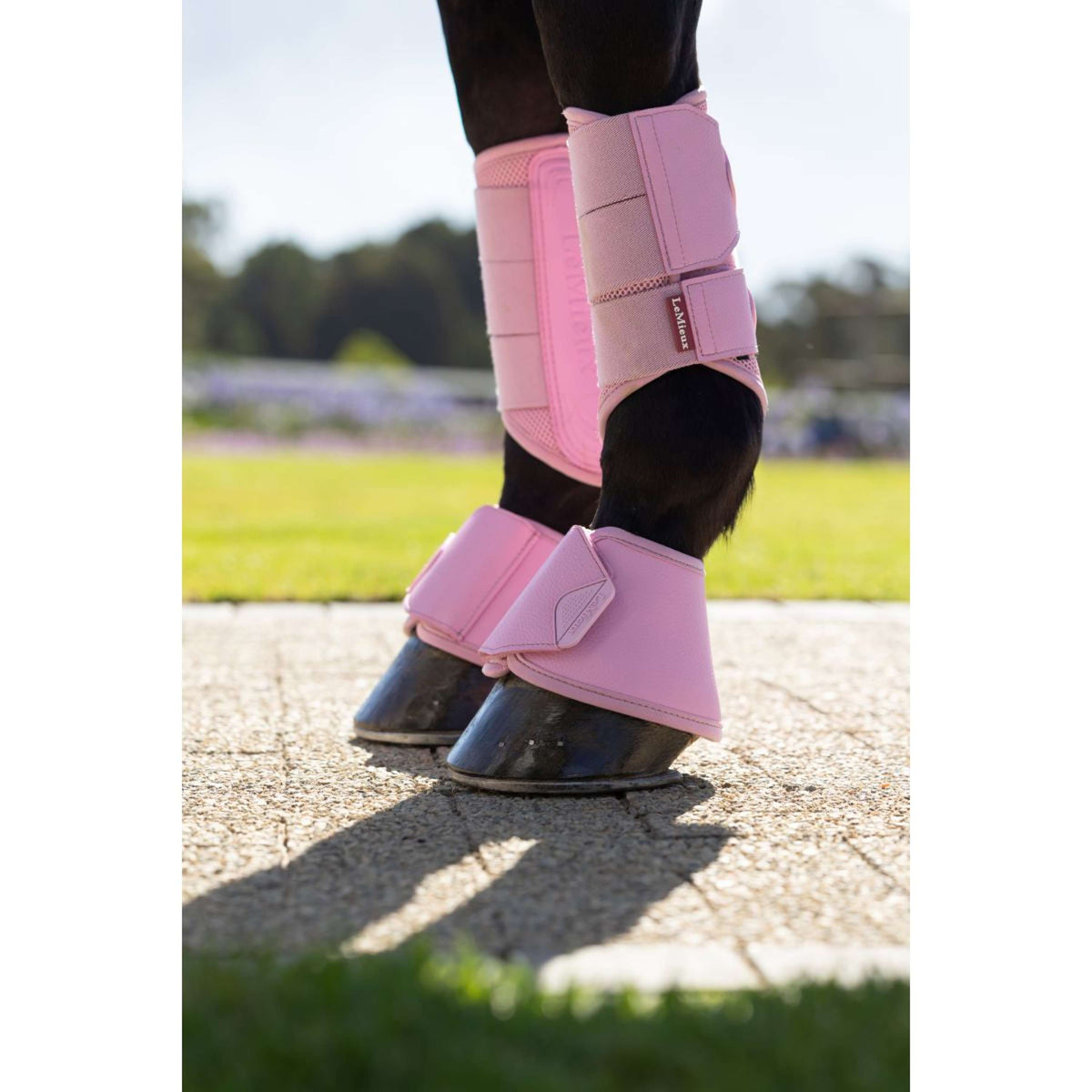 LeMieux Stivaletti a Campana Arika Fondant