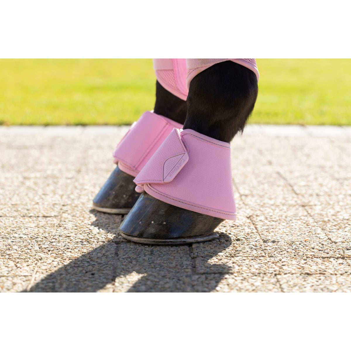 LeMieux Stivaletti a Campana Arika Fondant