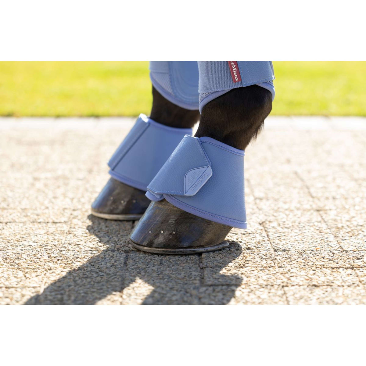 LeMieux Stivaletti a Campana Arika Powder Blue
