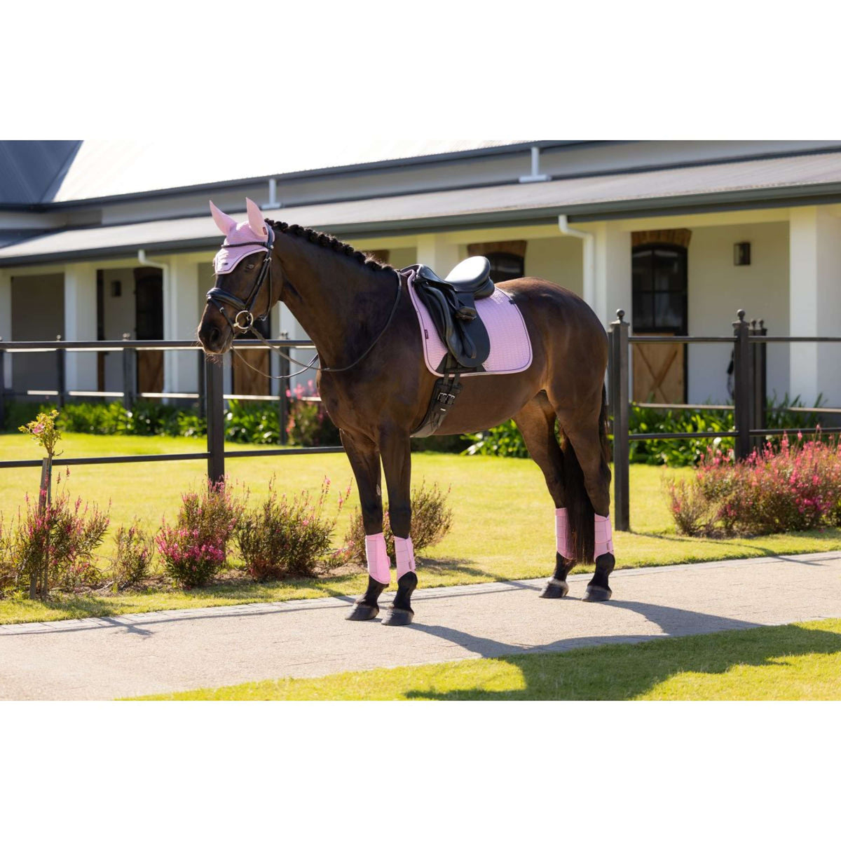 LeMieux Sottosella Essence Square Dressage Fondant