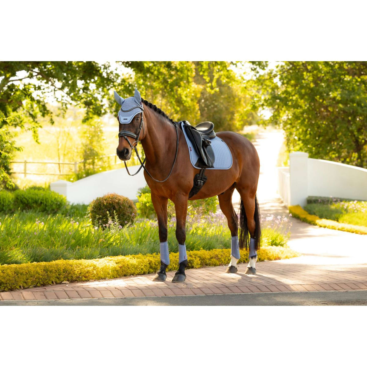 LeMieux Sottosella Essence Square Dressage Powder Blue