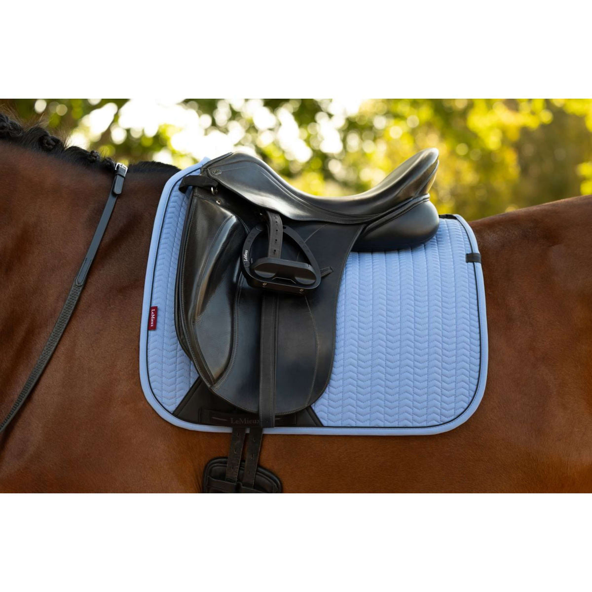LeMieux Sottosella Essence Square Dressage Powder Blue