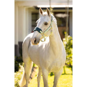 LeMieux Set Cavezza Vogue Macaron