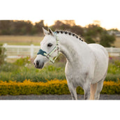 LeMieux Set Cavezza Mini Vogue Macaron