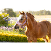 LeMieux Set Cavezza Mini Vogue Mallow