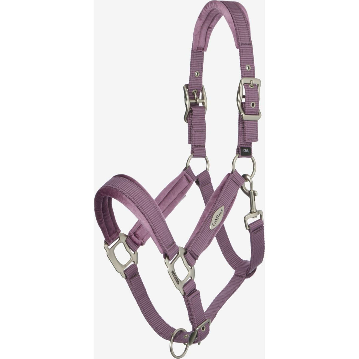 LeMieux Capezzina Versailles Mallow