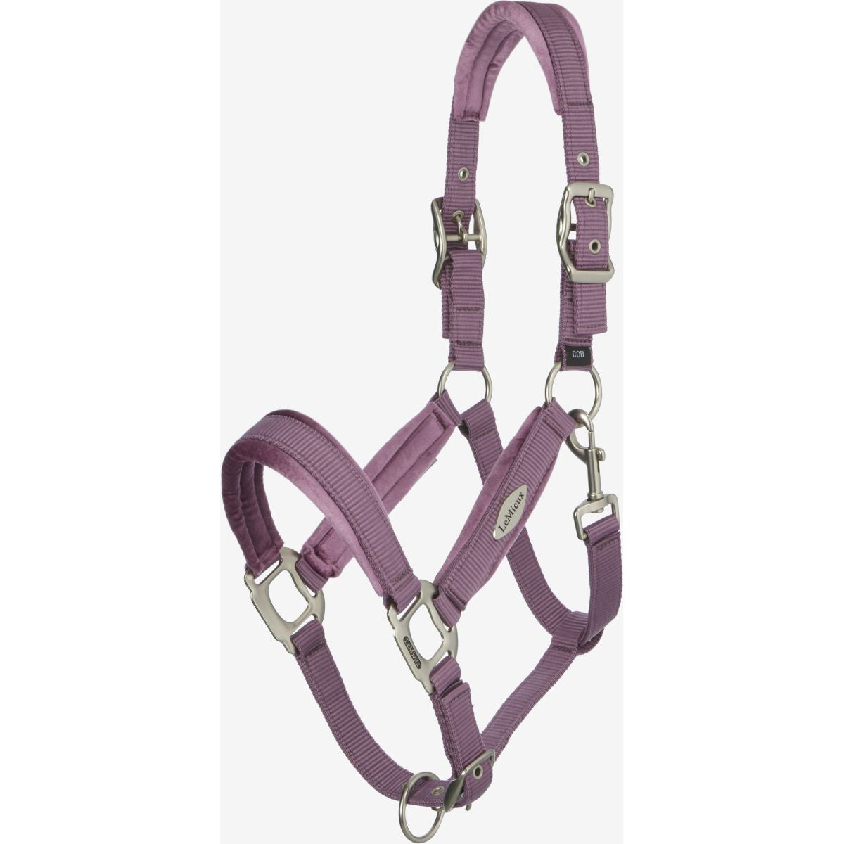 LeMieux Capezzina Versailles Mallow