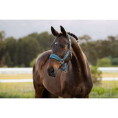 LeMieux Capezzina Versailles Jungle