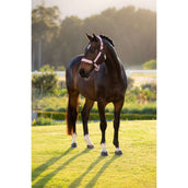 LeMieux Capezzina Essence Fondant