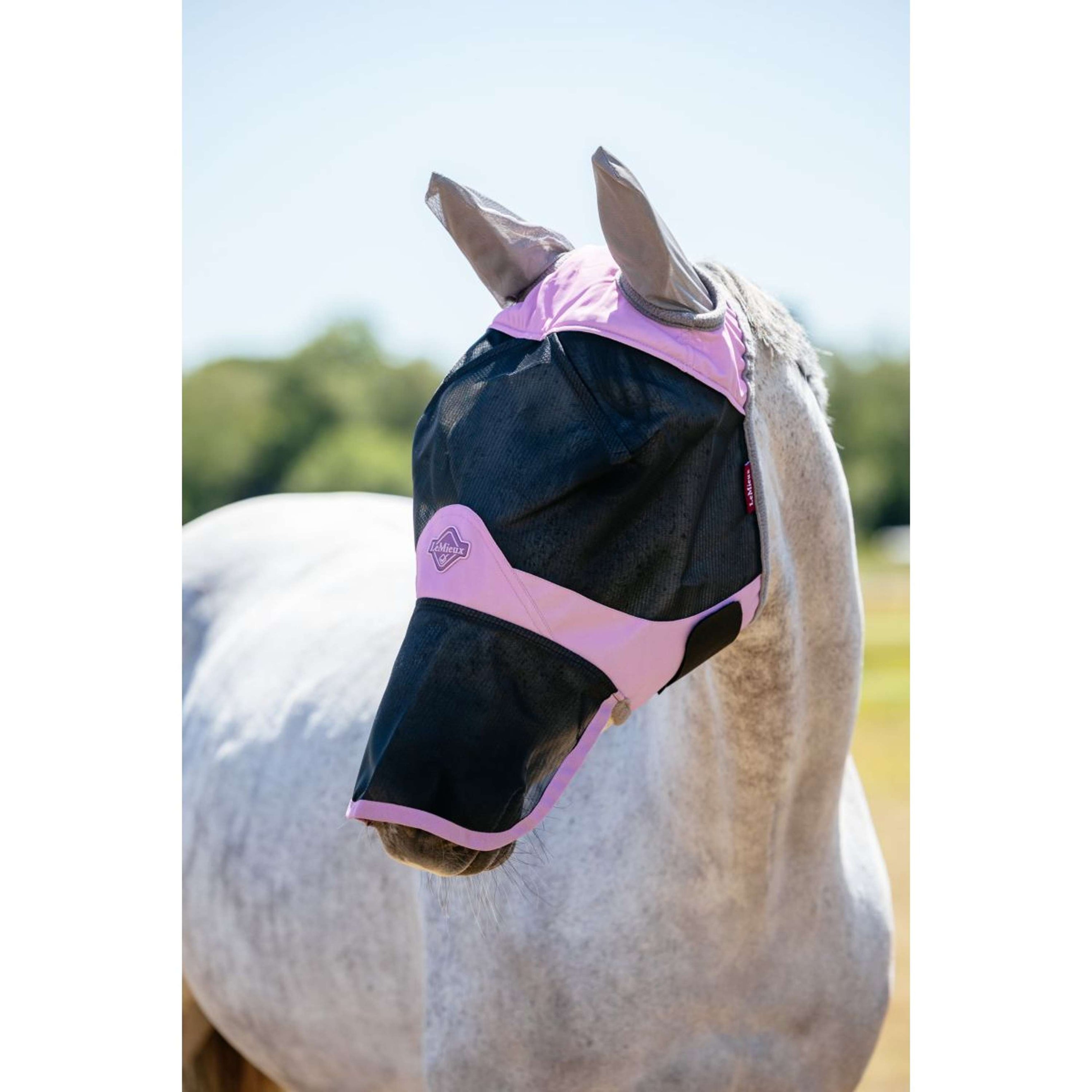 LeMieux Maschera per Mosche Visor-Tek Con Rete per Naso Fondant LeMieux Maschera per Mosche Visor-Tek Con Rete per Naso Fondant