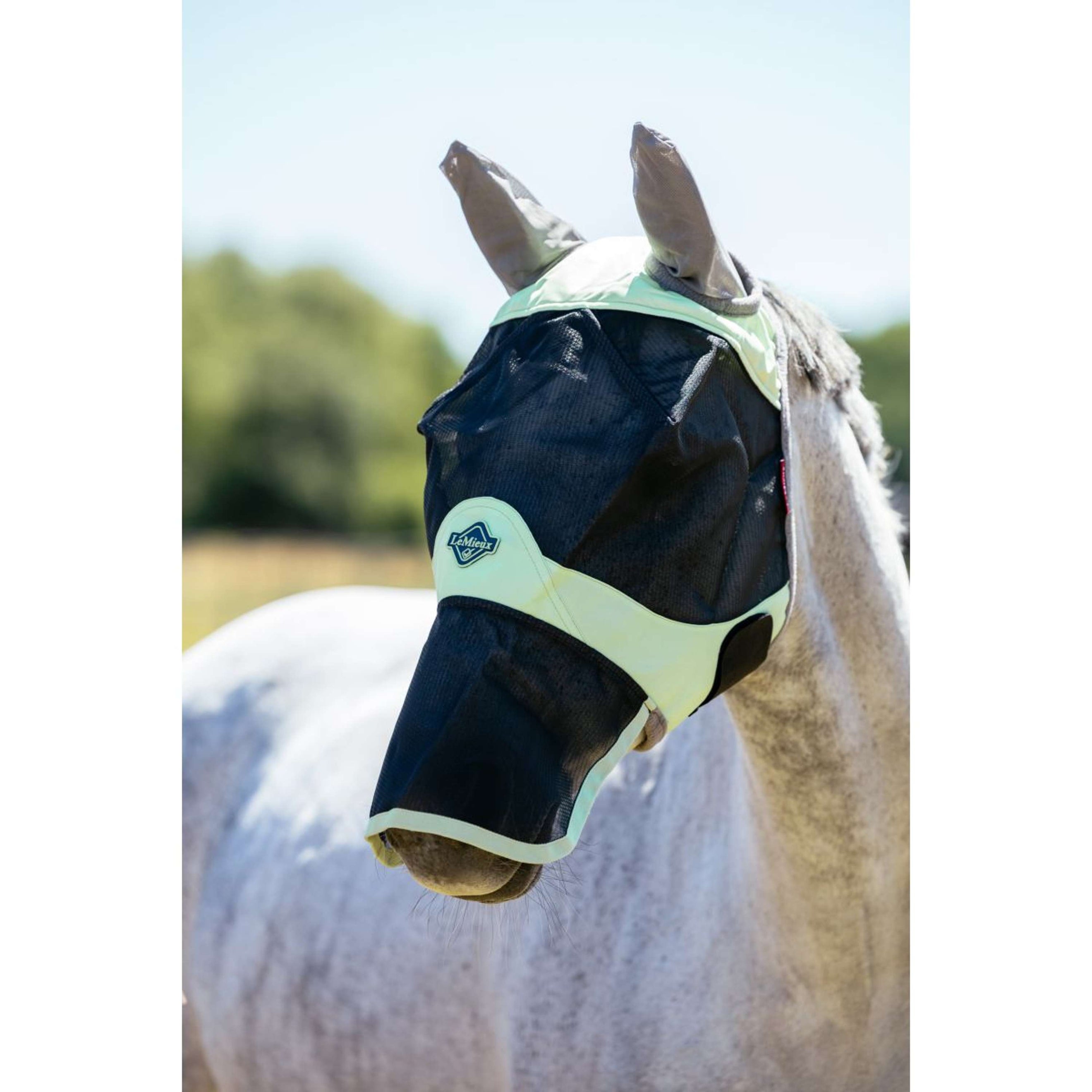 LeMieux Maschera per Mosche Visor-Tek Con Rete per Naso Macaron