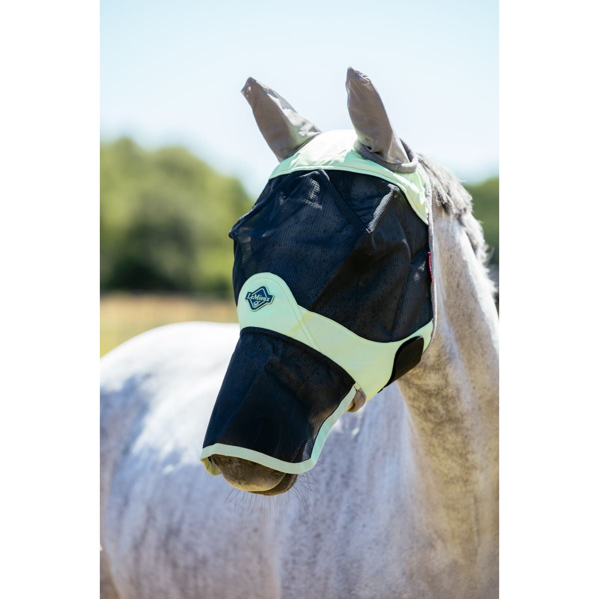 LeMieux Maschera per Mosche Visor-Tek Con Rete per Naso Macaron