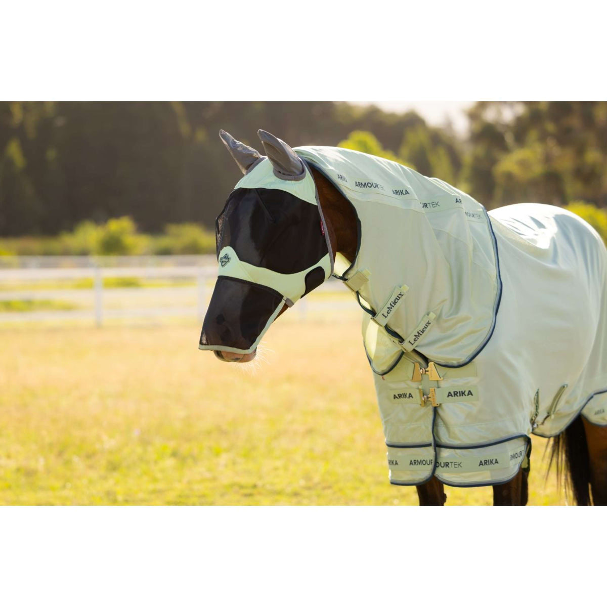 LeMieux Maschera per Mosche Visor-Tek Con Rete per Naso Macaron