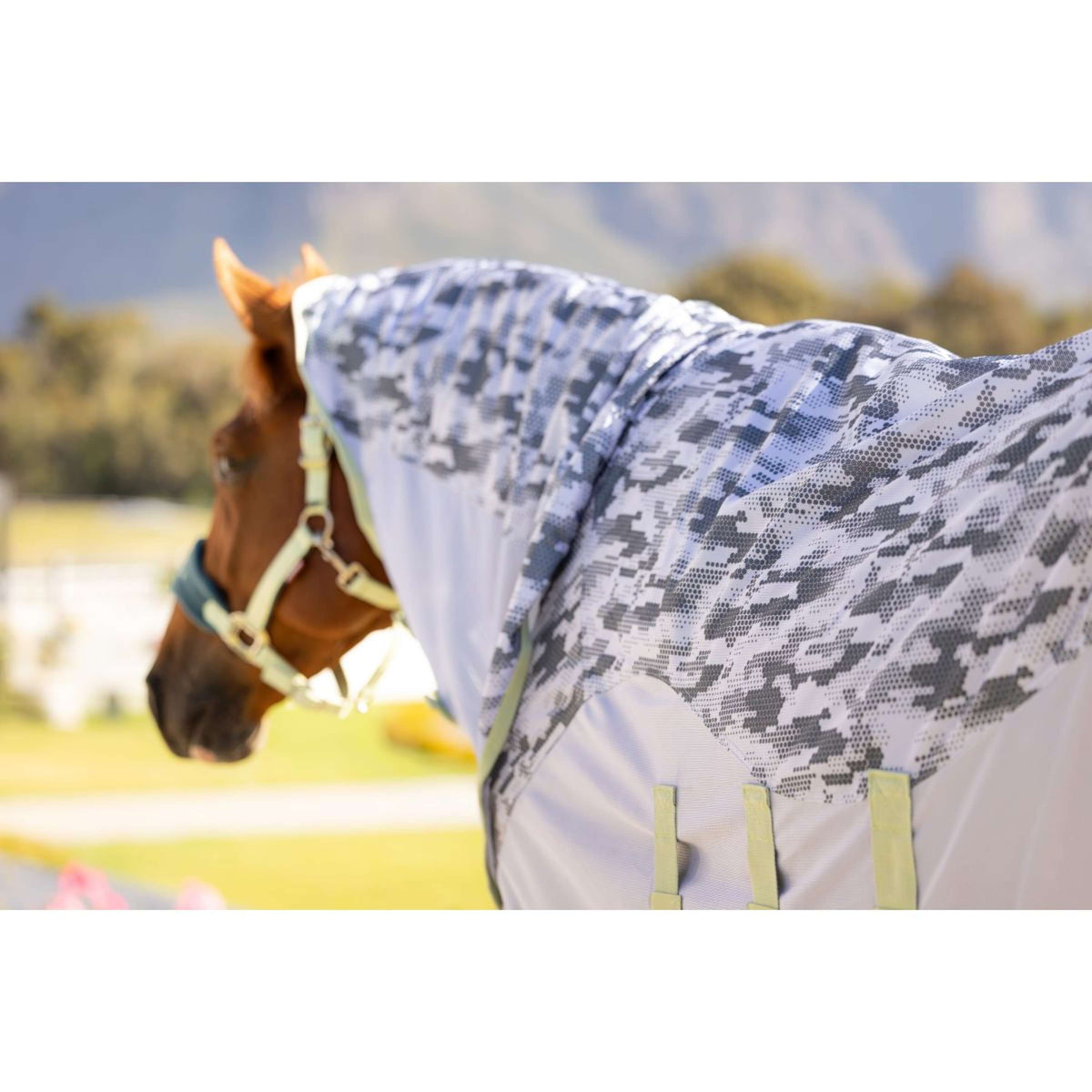 LeMieux Coperta Antimosche Arika Camo-Tek con collo Macaron