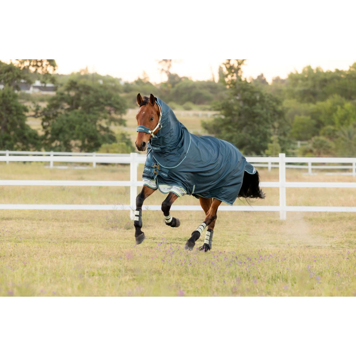 LeMieux Tappeto da Esterno Arika Ripstop 0g Jungle