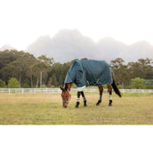 LeMieux Tappeto da Esterno Arika Ripstop 0g Jungle