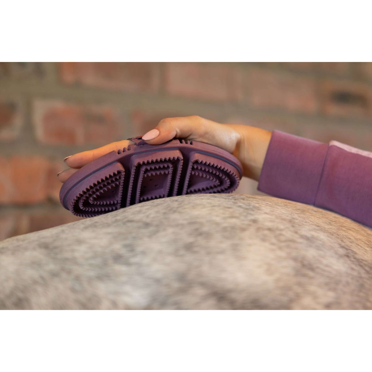 LeMieux Striglia Flexi Curry Powder Blue