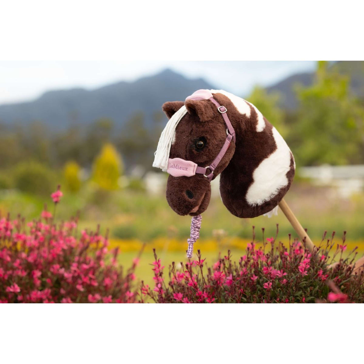 LeMieux Cavallo da hobby Vogue Capezza Mallow