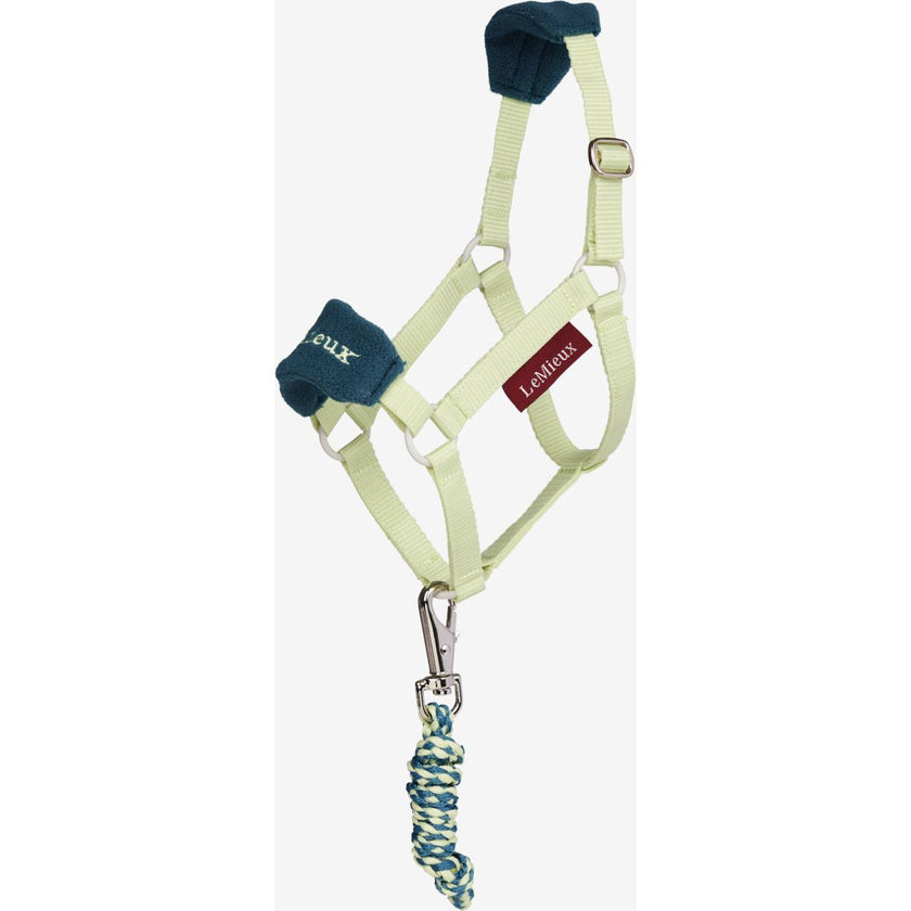 LeMieux Hobby Horse Capezza Vogue Macaron LeMieux Hobby Horse Capezza Vogue Macaron