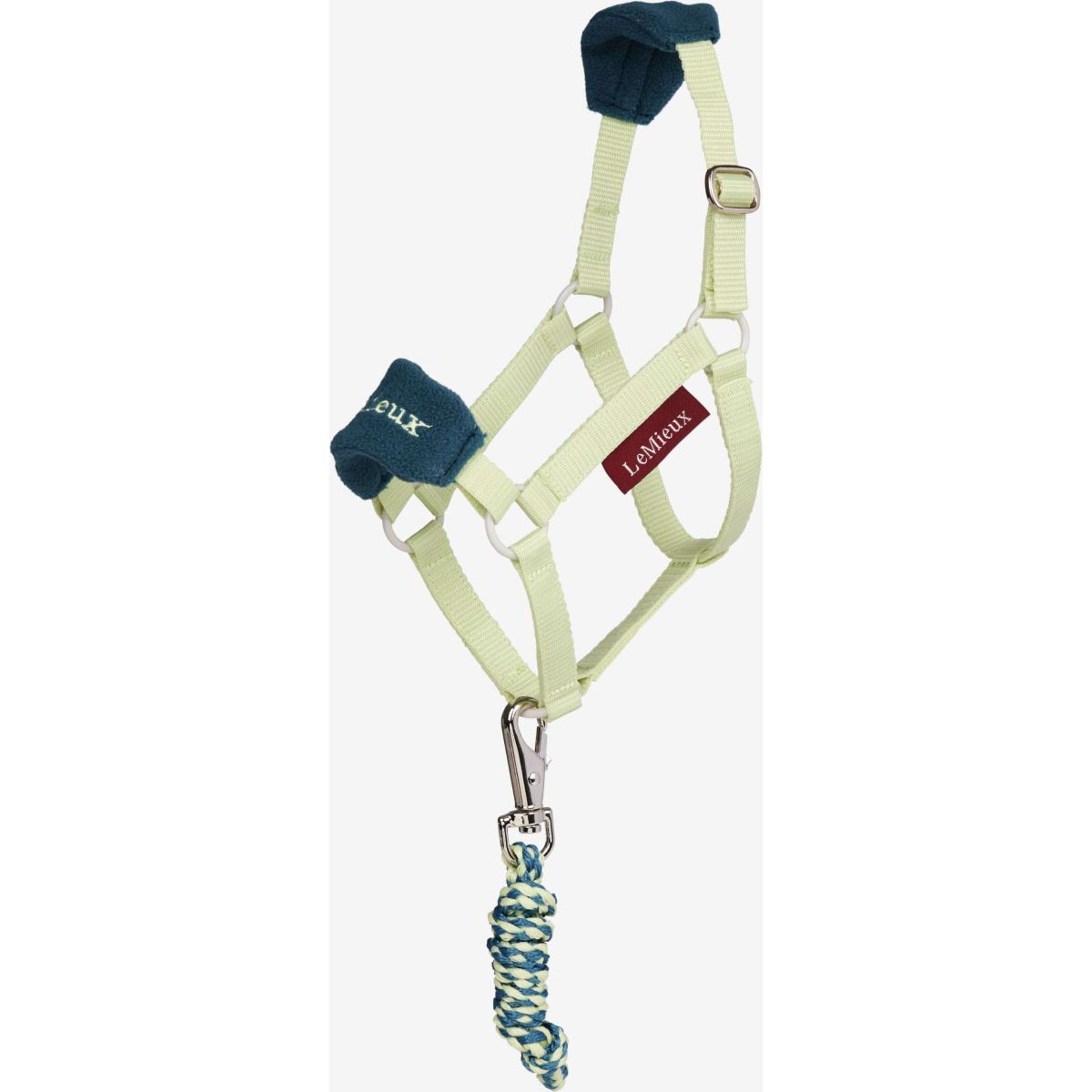 LeMieux Cavallo da hobby Vogue Capezza Macaron LeMieux Cavallo da hobby Vogue Capezza Macaron