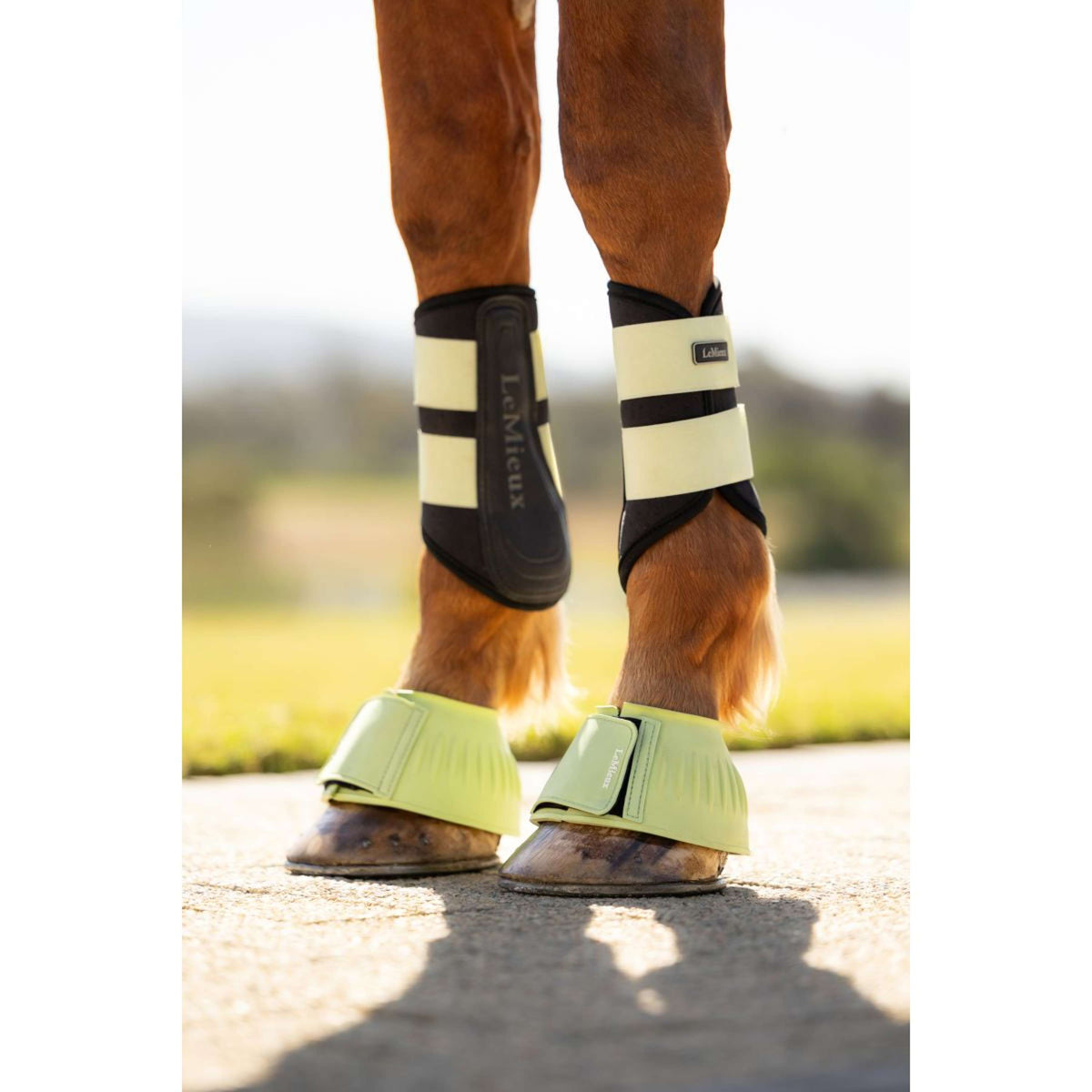 LeMieux Stivaletti a Campana Rubber Bell Macaron