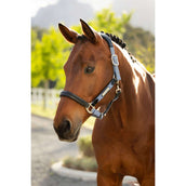 LeMieux Capezzina Capella Powder Blue