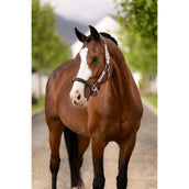 LeMieux Capezzina Capella Fondant