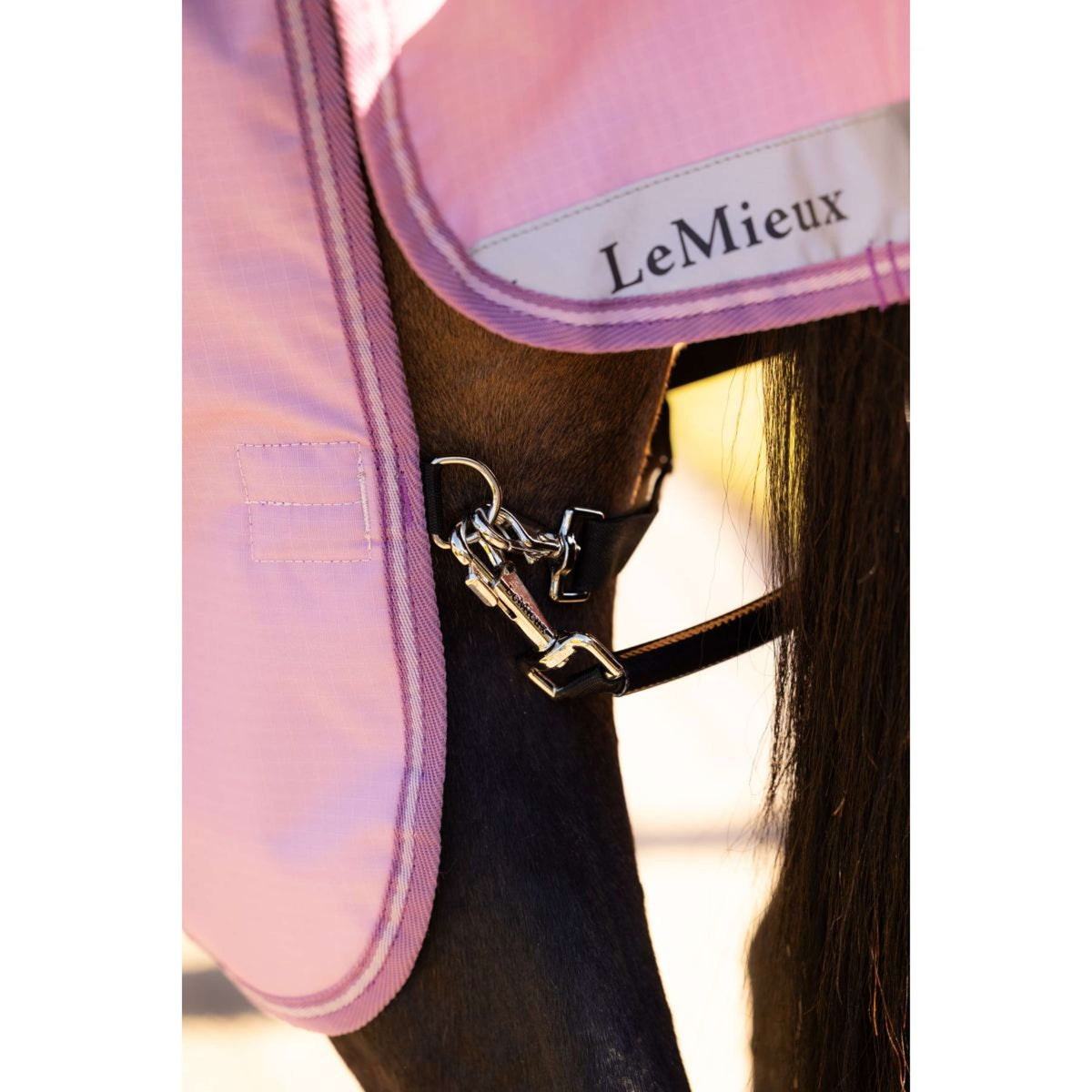 LeMieux Tappeto da Esterno Arika Ripstop 0g Fondant