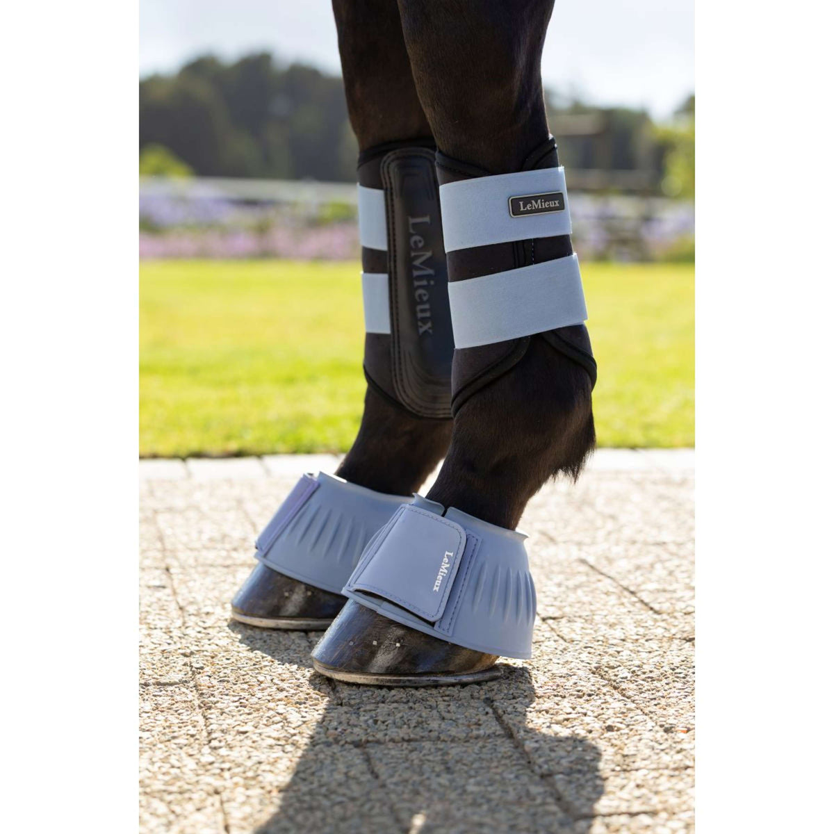 LeMieux Stivaletti a Campana Rubber Bell Powder Blue