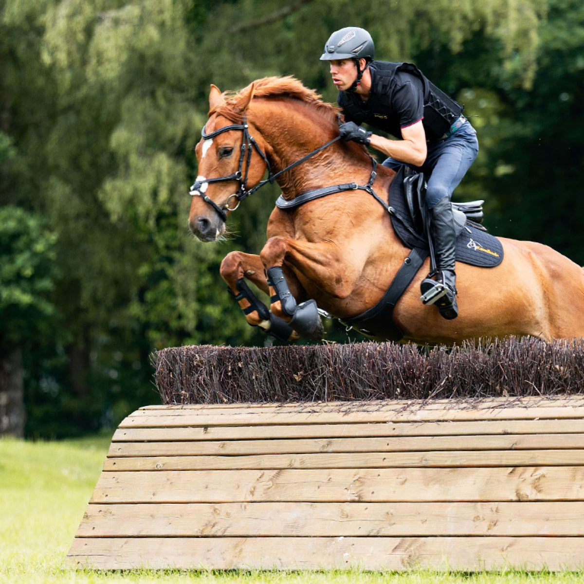 Kavalkade Pettorale Jerome 2-Punti Nero