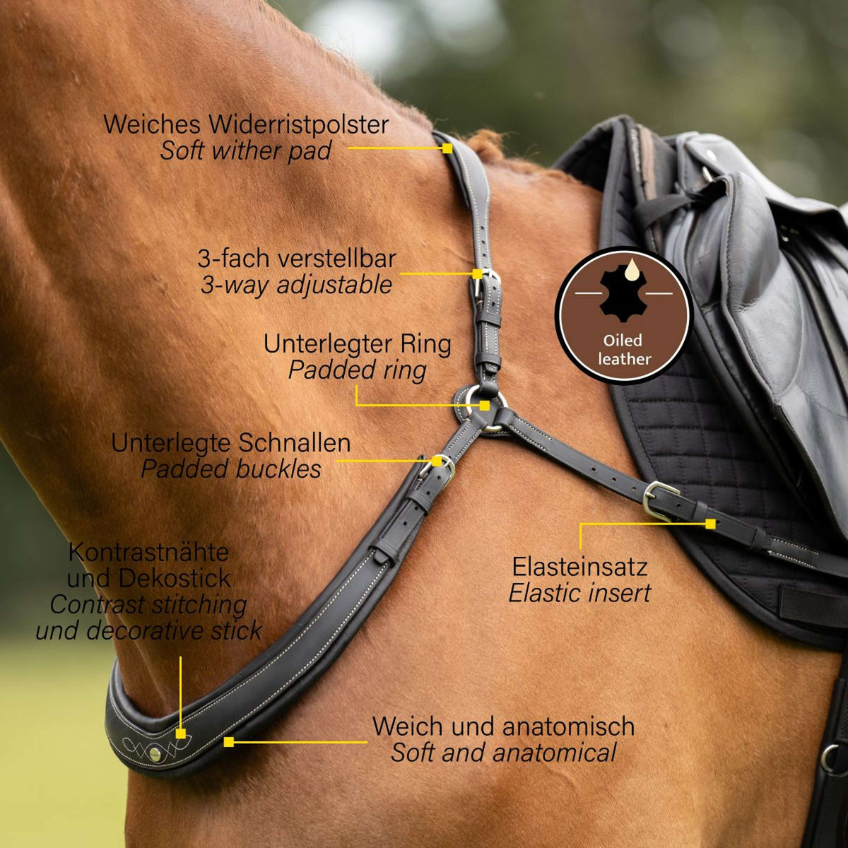 Kavalkade Pettorale Jerome 2-Punti Nero