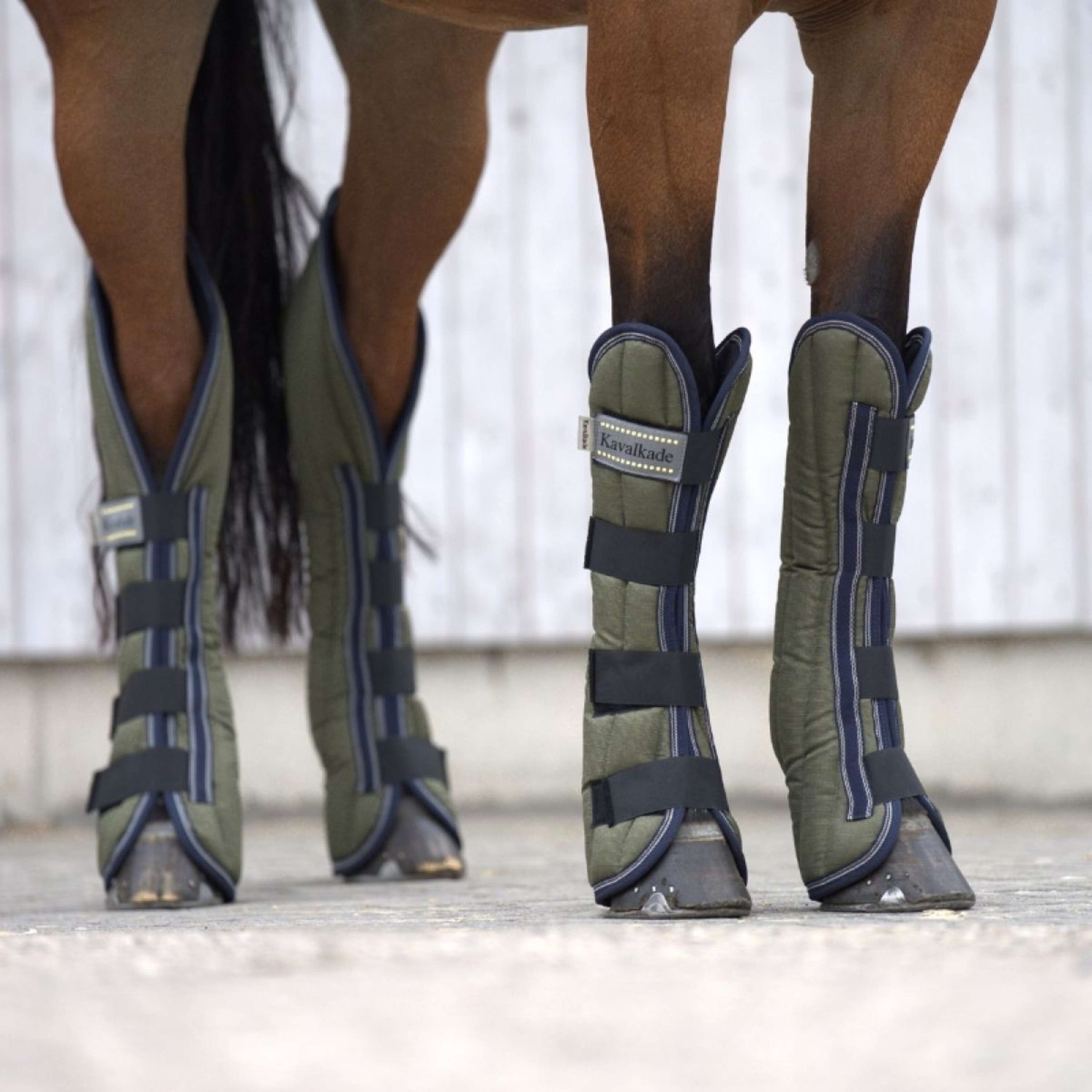 Kavalkade Protettori da trasporto Montreal Verde Kavalkade Protettori da trasporto Montreal Verde