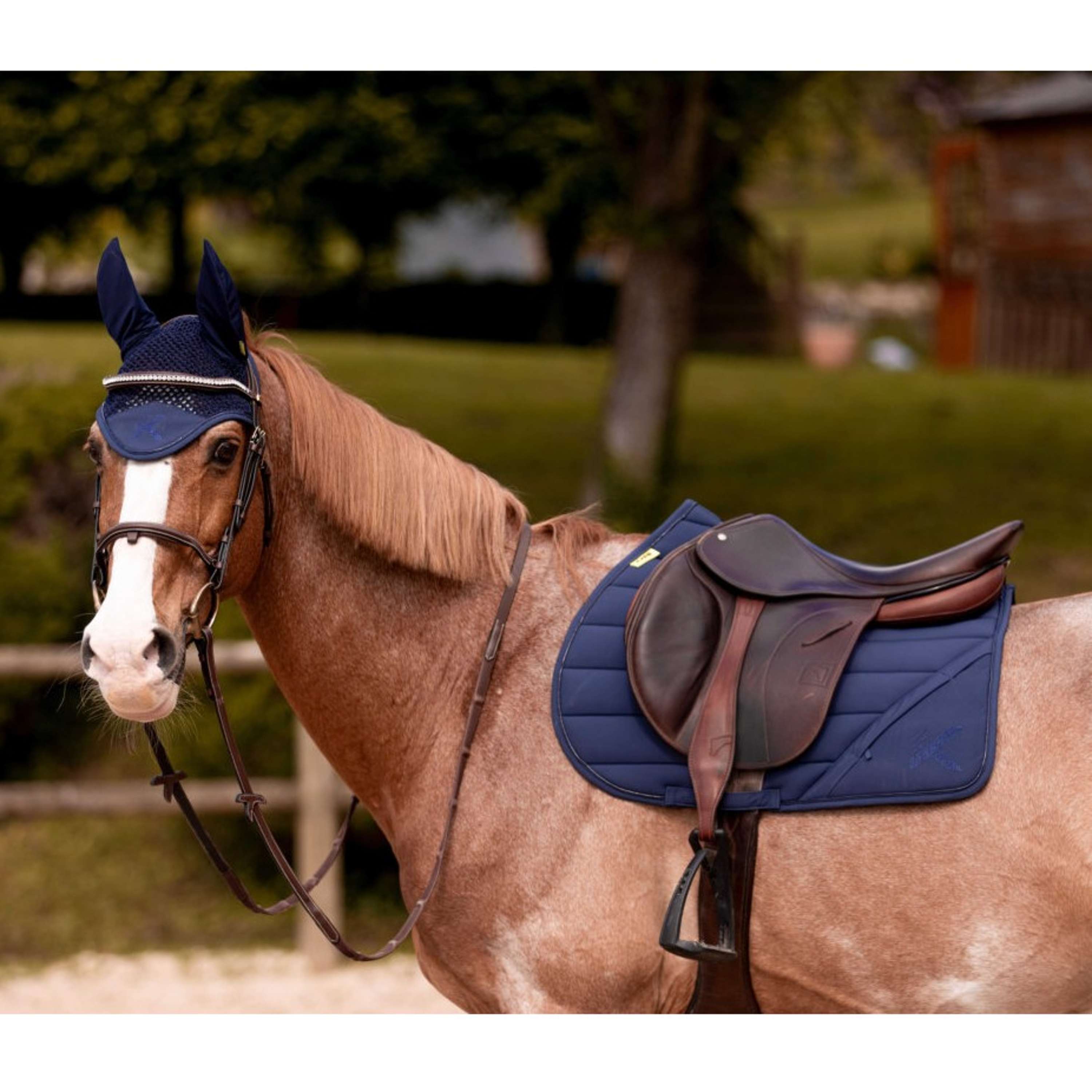 K by EQUITHÈME Sottosella Vega Tutto Uso Navy
