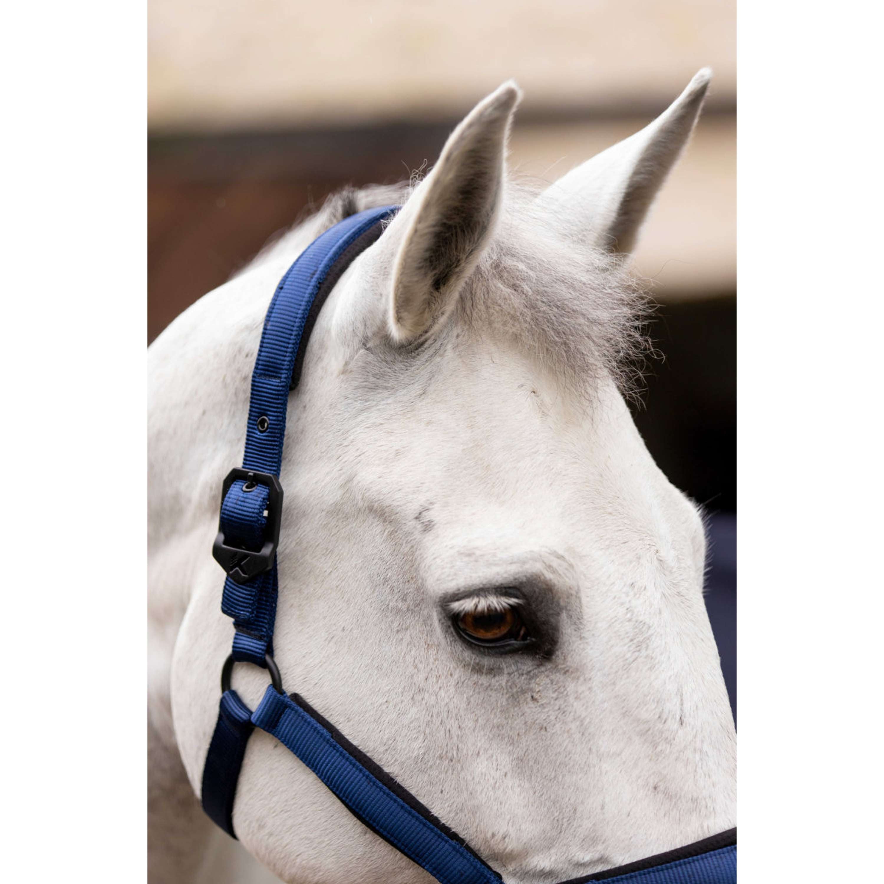 K by EQUITHÈME Cavezza Triton Blu reale
