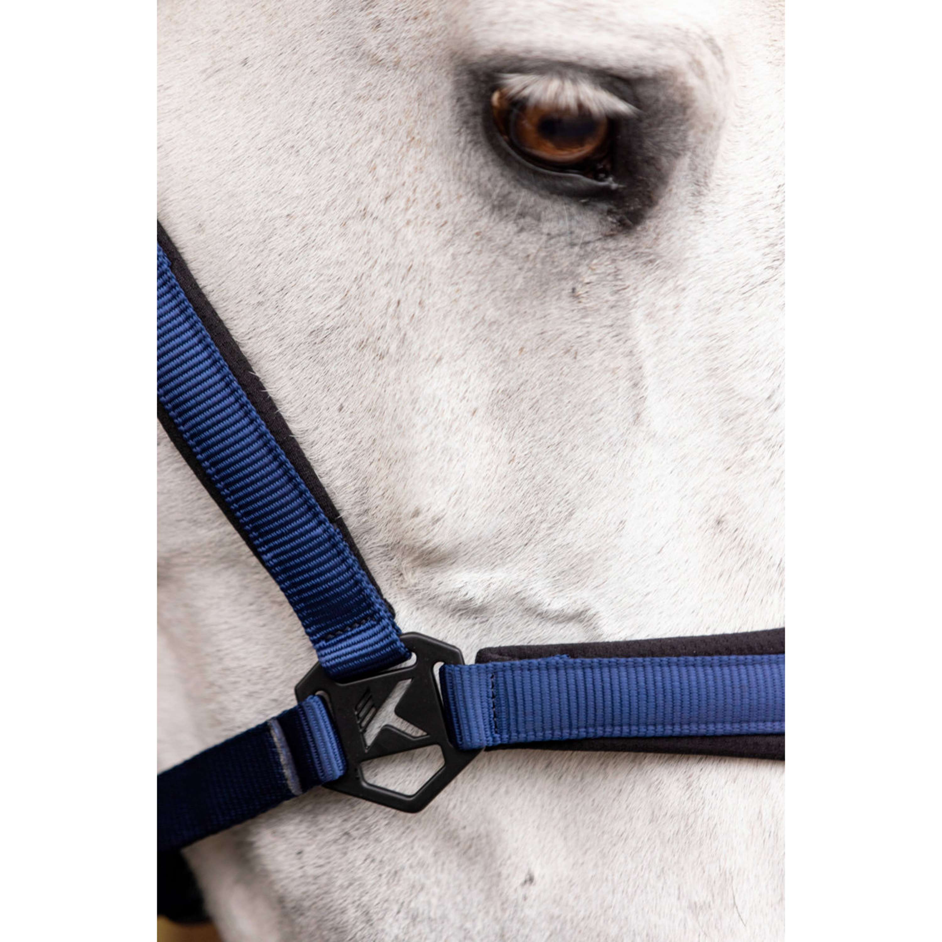 K by EQUITHÈME Cavezza Triton Blu reale