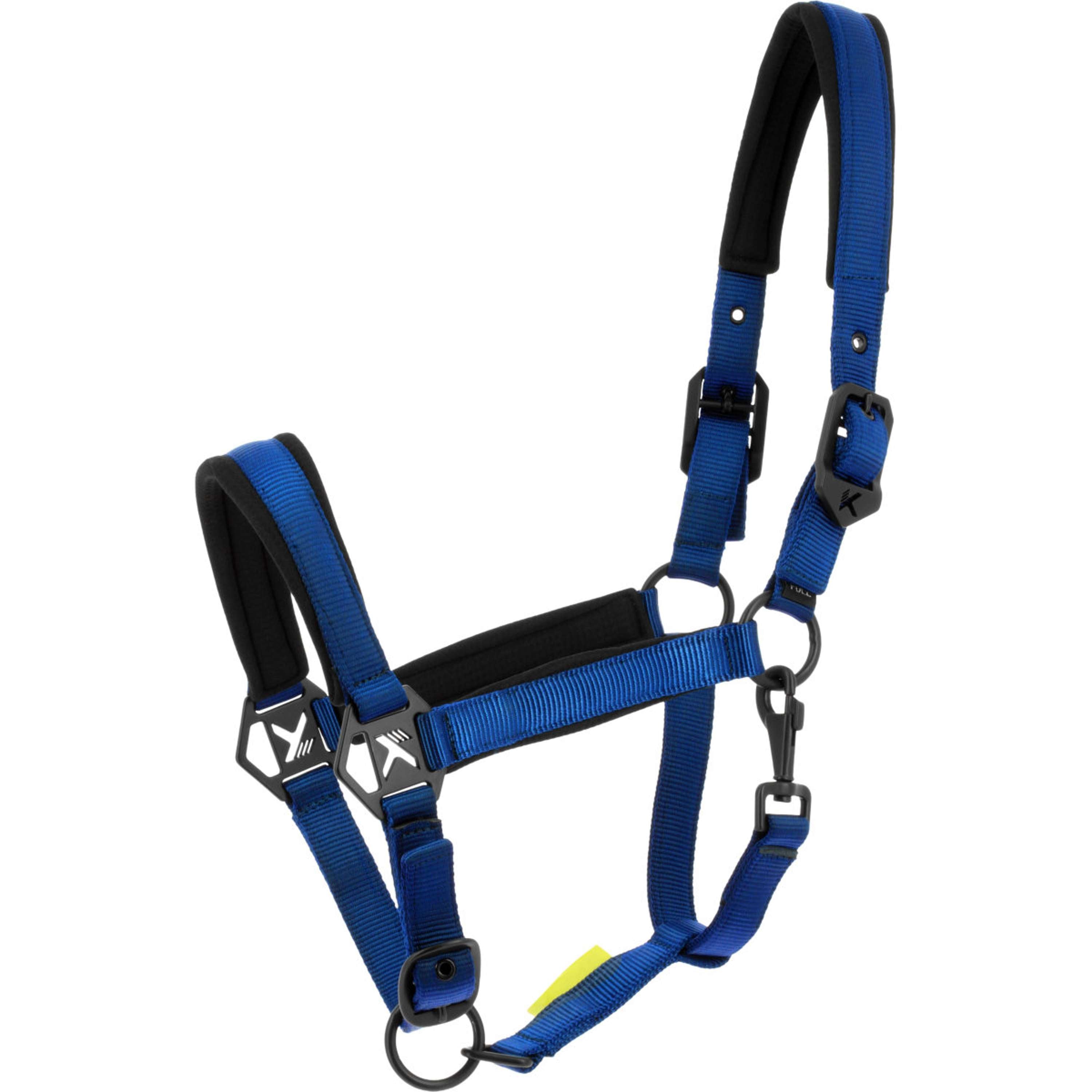 K by EQUITHÈME Cavezza Triton Blu reale