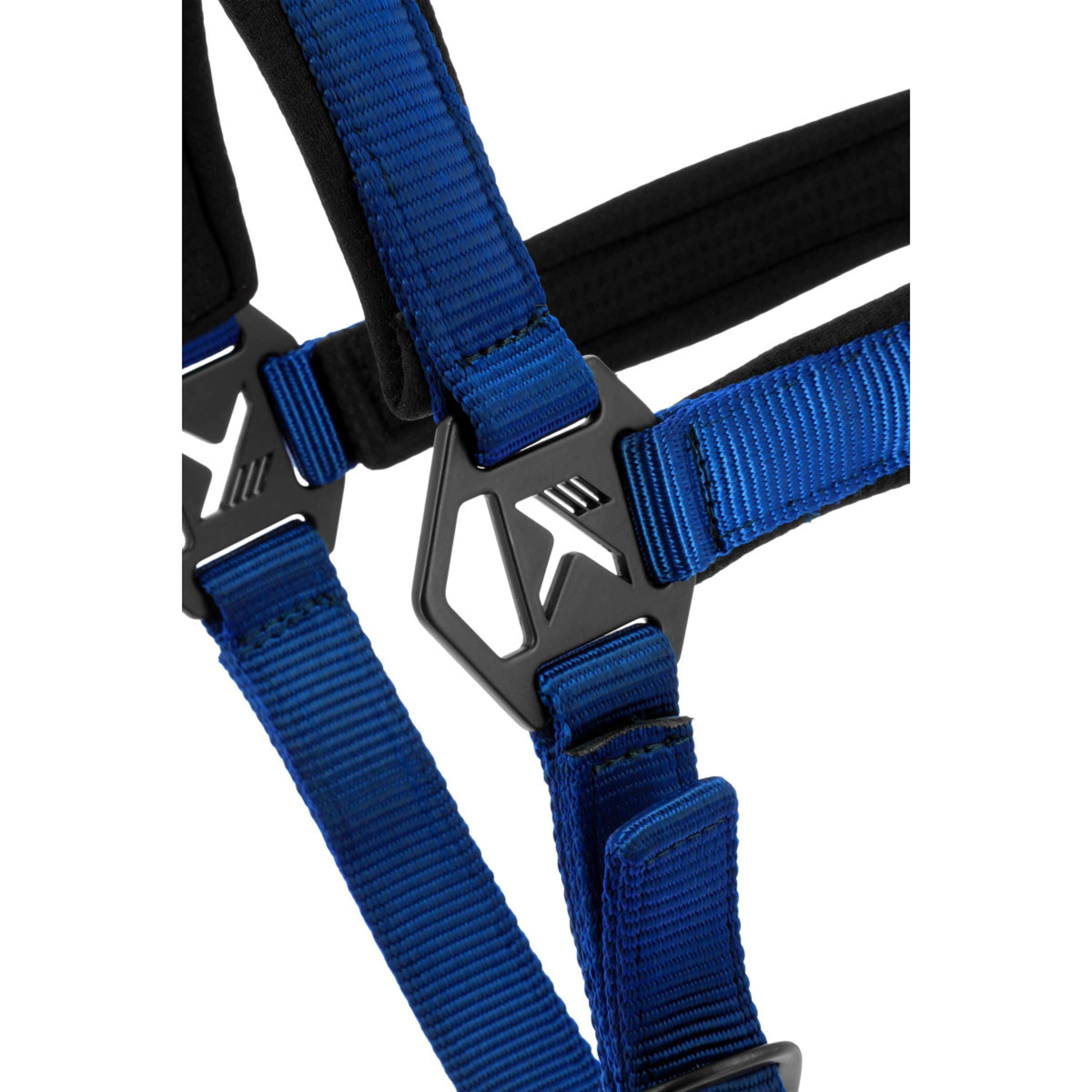 K by EQUITHÈME Cavezza Triton Blu reale