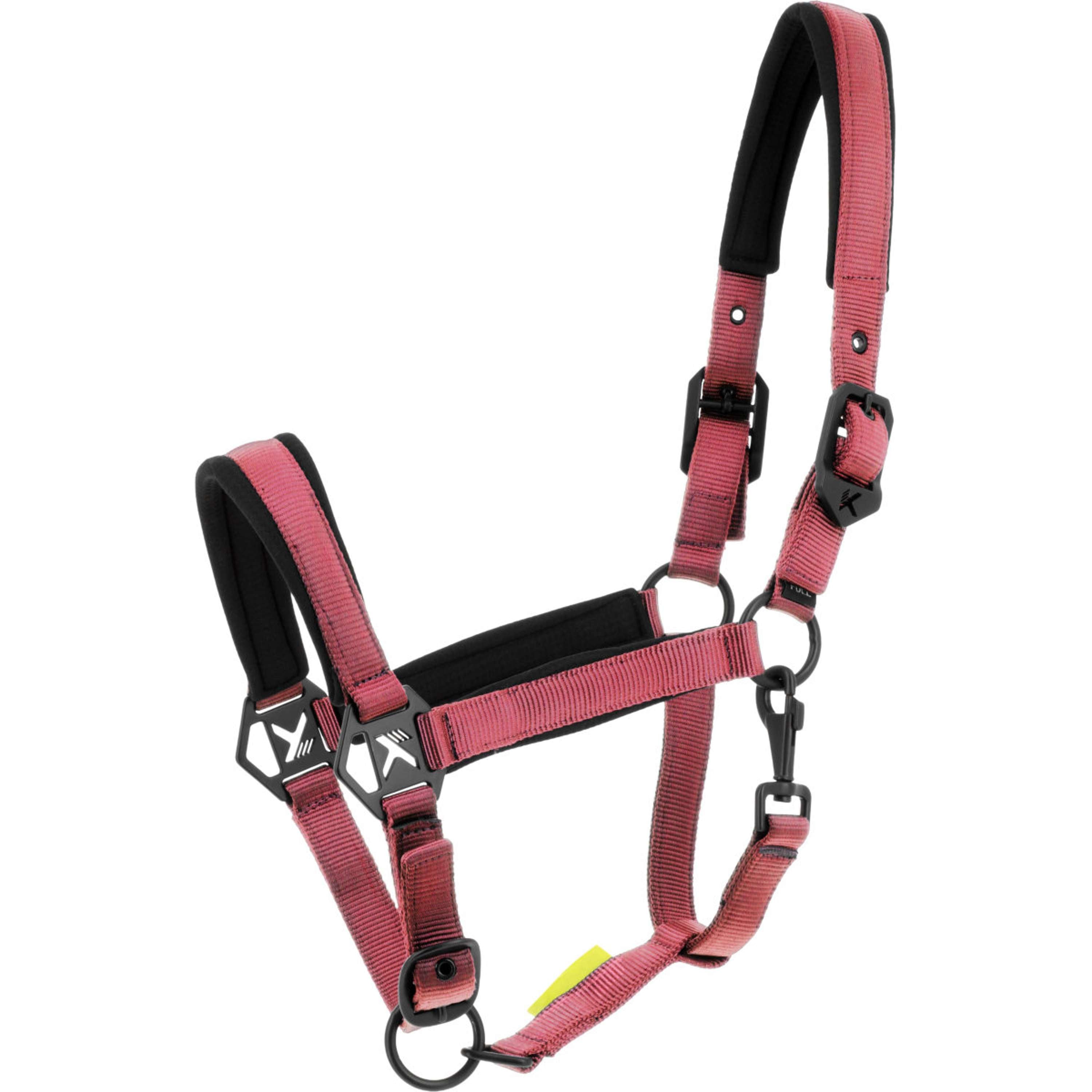K by EQUITHÈME Cavezza Triton Rosa