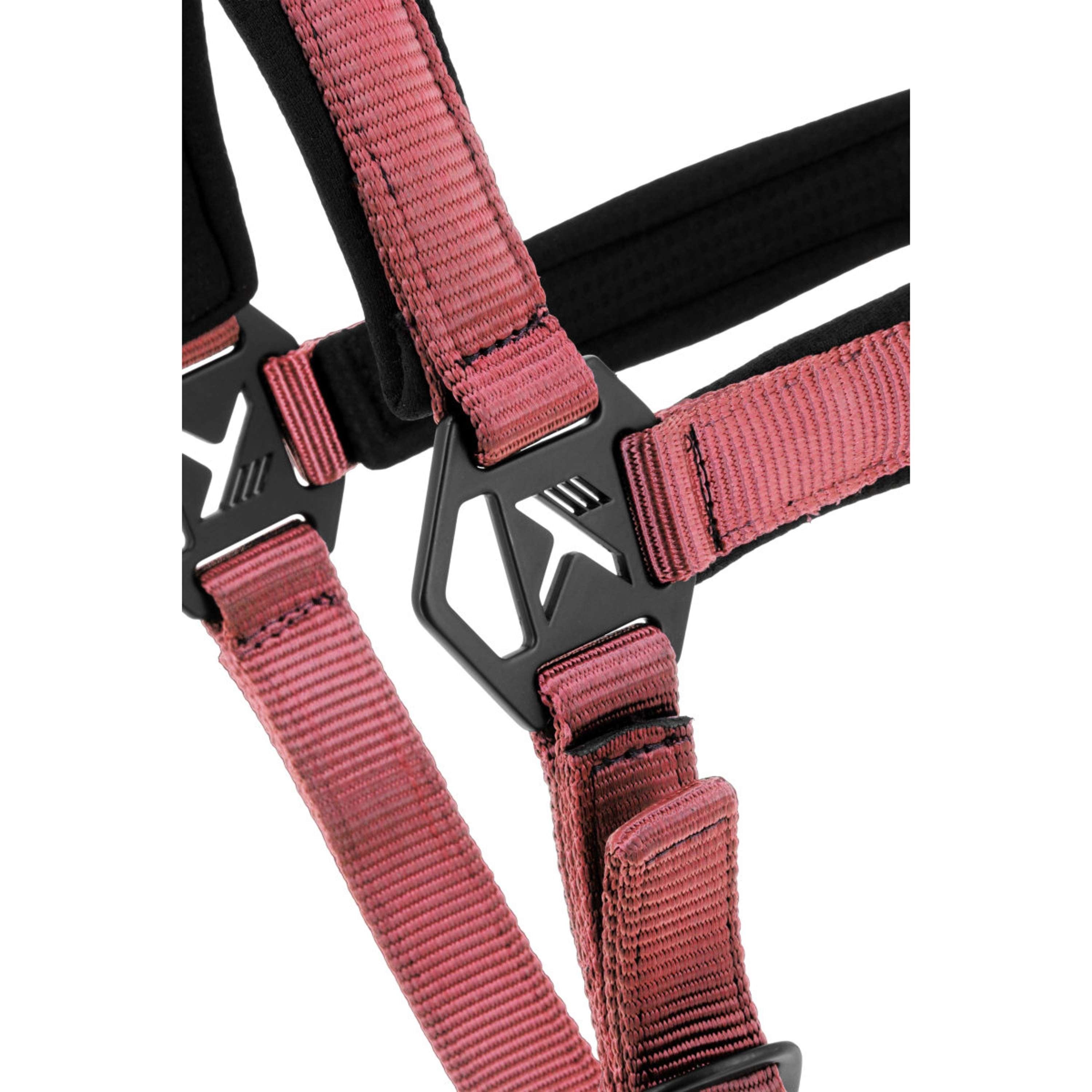 K by EQUITHÈME Cavezza Triton Rosa