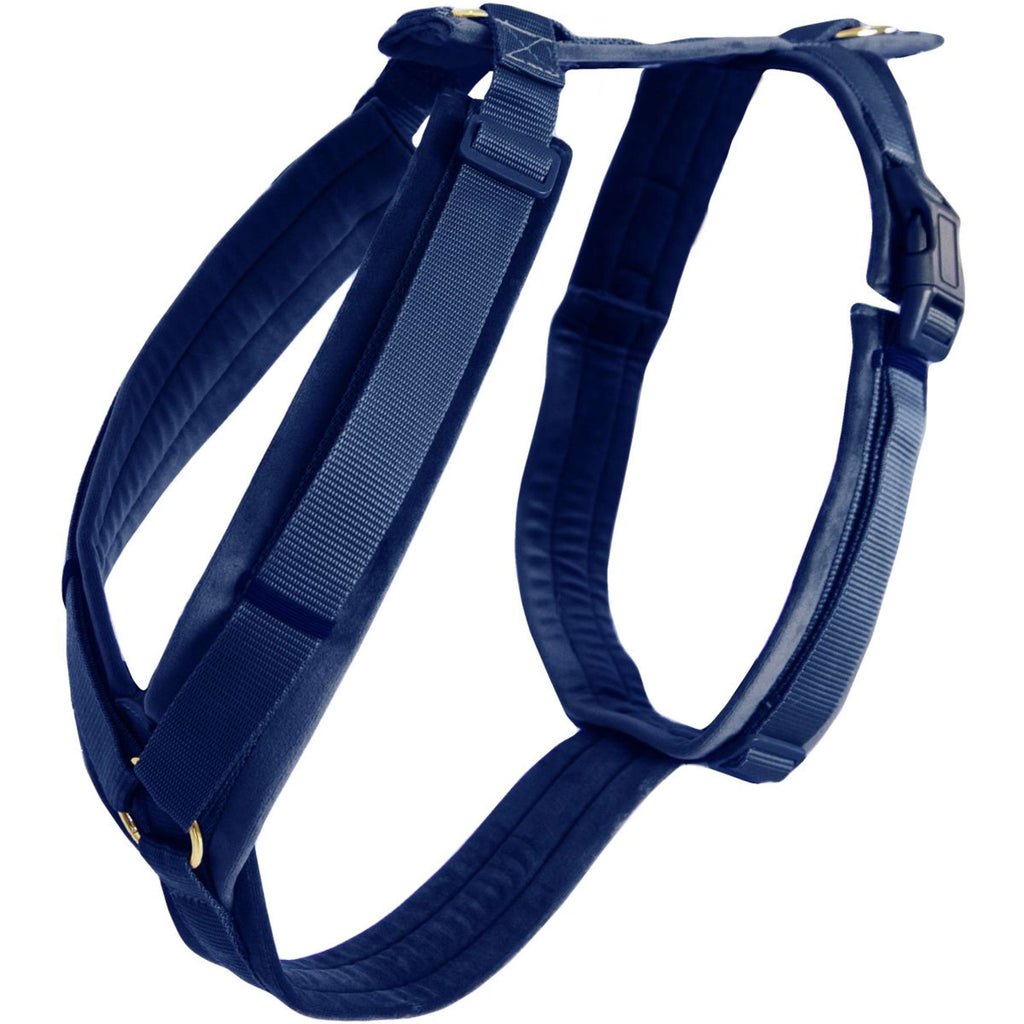 Kentucky Dogwear Imbracatura Active Velvet Navy