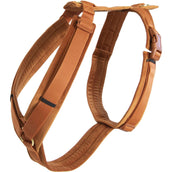 Kentucky Dogwear Imbracatura Active Velvet Arancia