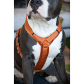 Kentucky Dogwear Imbracatura Active Velvet Arancia