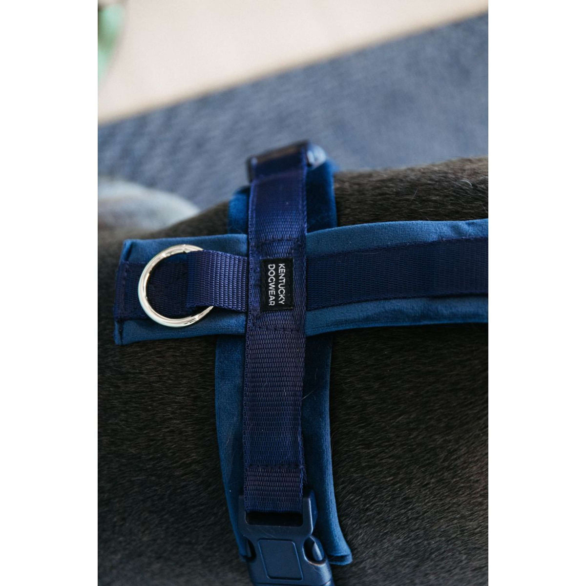 Kentucky Dogwear Imbracatura Active Velvet Navy